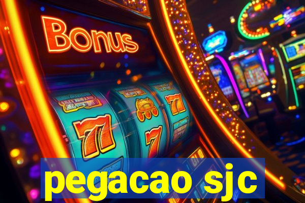 pegacao sjc